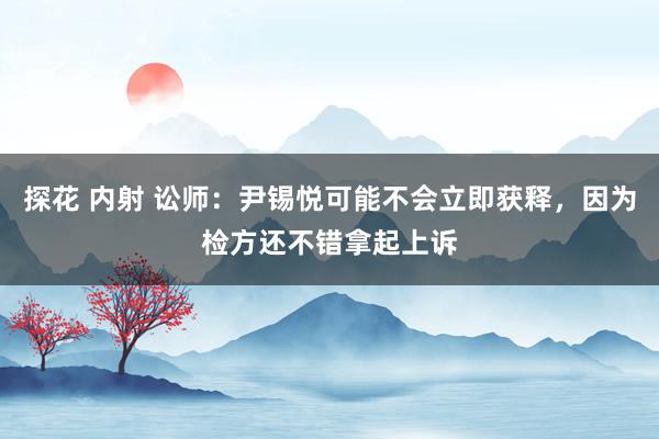 探花 内射 讼师：尹锡悦可能不会立即获释，因为检方还不错拿起上诉