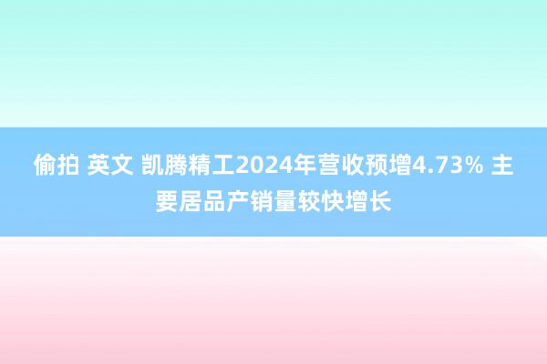 偷拍 英文 凯腾精工2024年营收预增4.73% 主要居品产销量较快增长