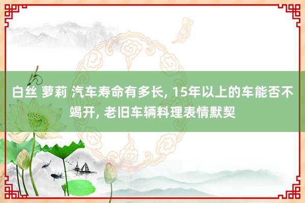 白丝 萝莉 汽车寿命有多长， 15年以上的车能否不竭开， 老旧车辆料理表情默契