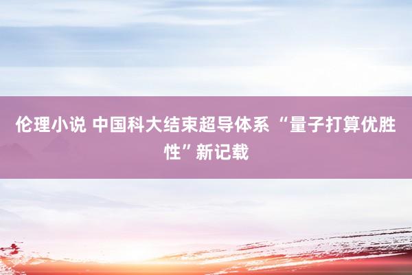 伦理小说 中国科大结束超导体系 “量子打算优胜性”新记载
