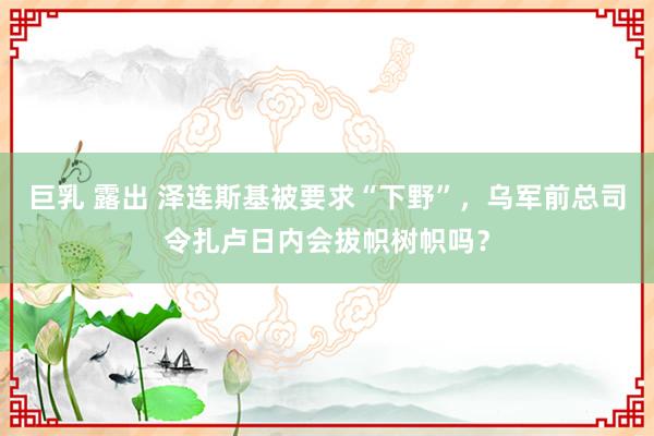 巨乳 露出 泽连斯基被要求“下野”，乌军前总司令扎卢日内会拔帜树帜吗？